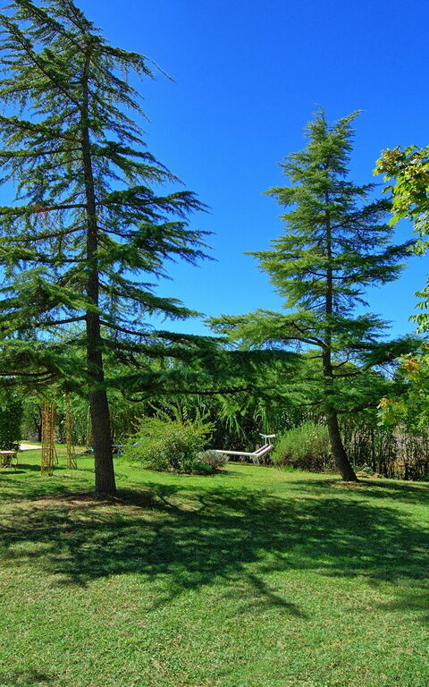 Casa Cipressi: Giardino