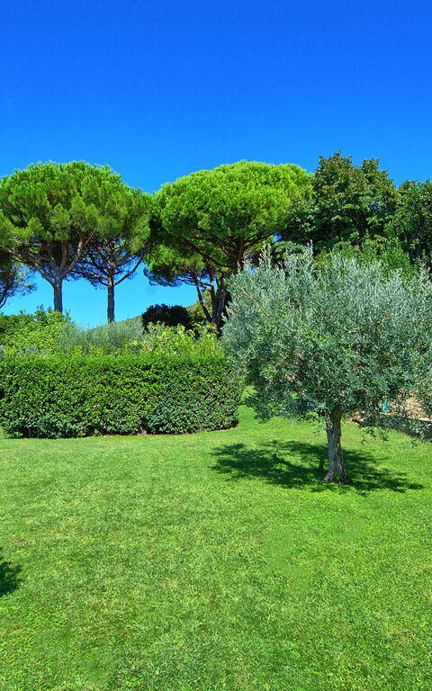 Villa Le Murate: Giardino