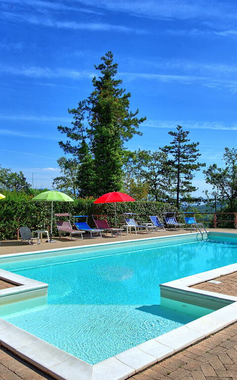 Villa Lorenzo: Piscina