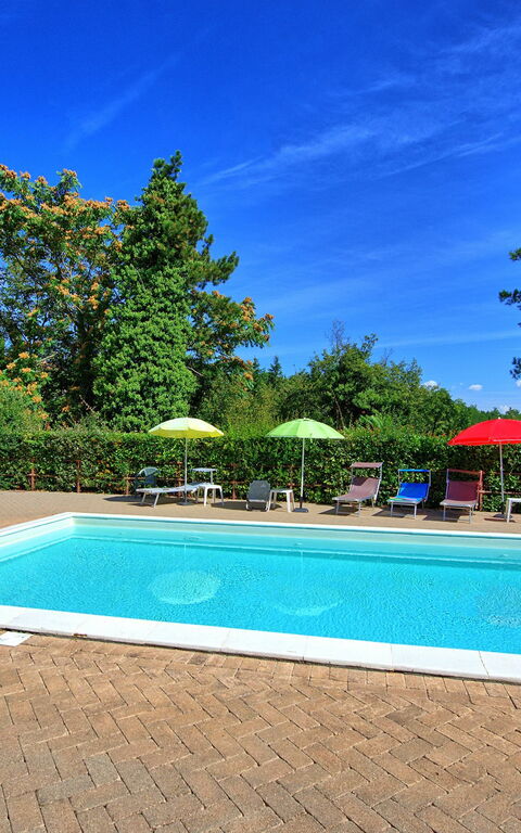 Villa Lorenzo: Piscina