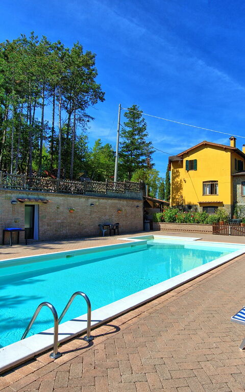 Villa Lorenzo: Piscina