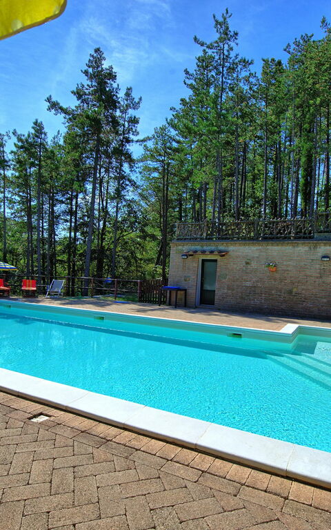 Villa Lorenzo: Piscina