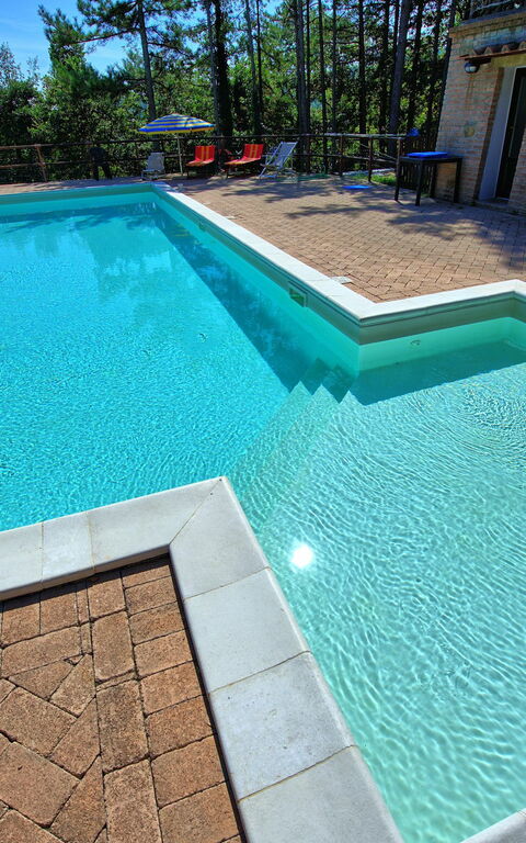 Villa Lorenzo: Piscina