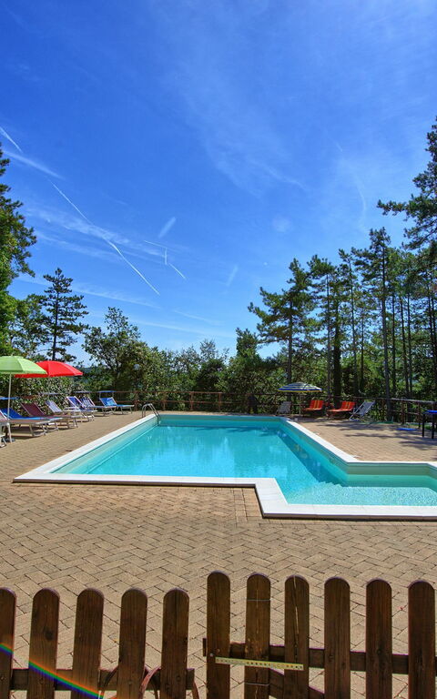 Villa Lorenzo: Giardino, Piscina