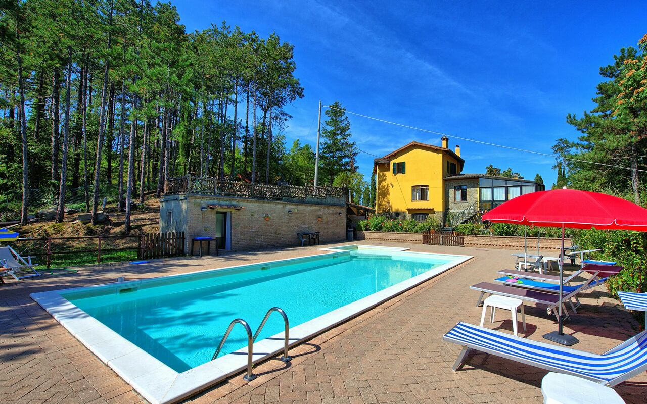 Villa Lorenzo: Piscina