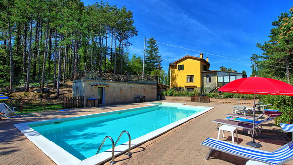 Villa Lorenzo: Piscina