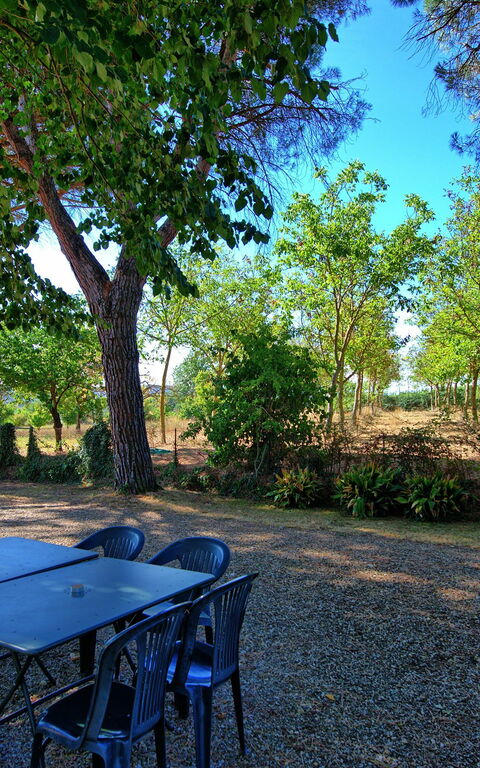 Casale Ambra: Giardino