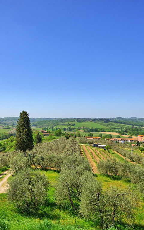 Villa Roberto: all'aperto