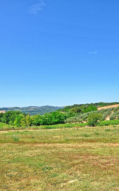 Vittoriana: Giardino