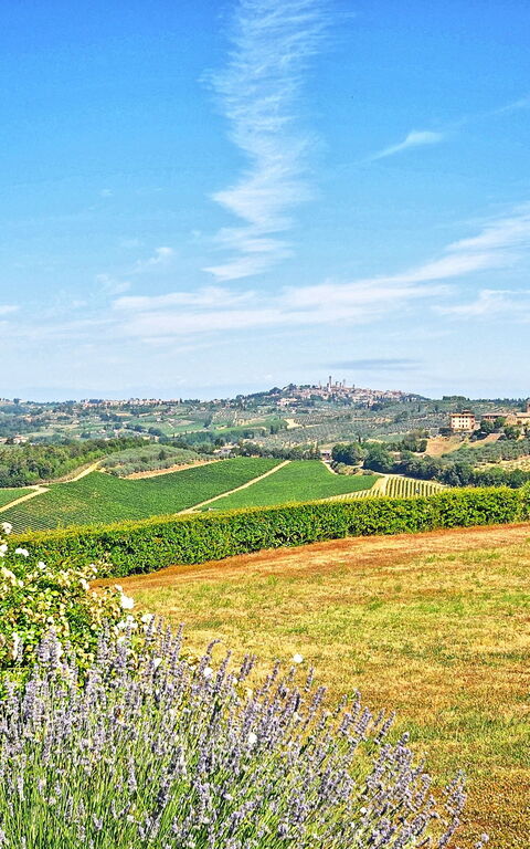 Vittoriana: Giardino