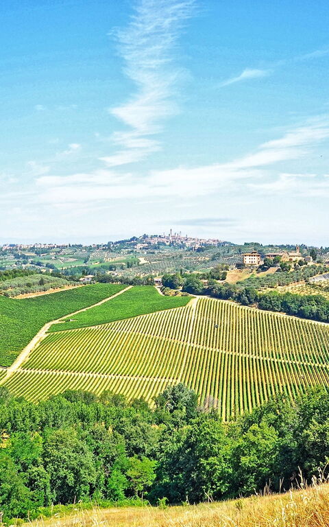 Vittoriana: Giardino