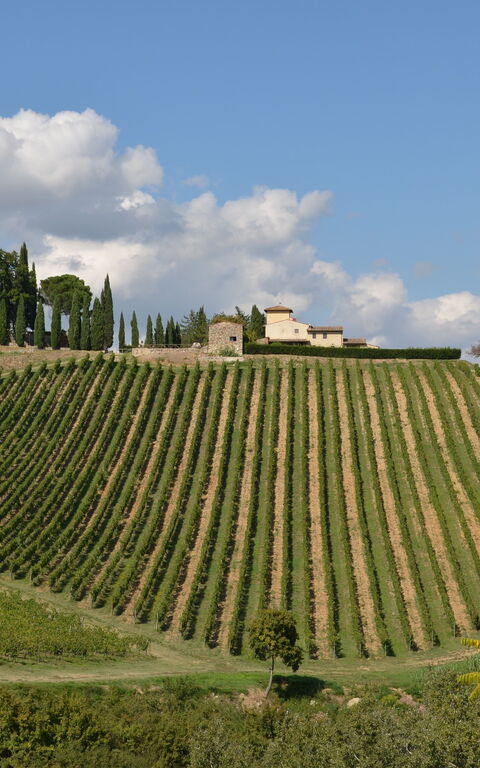 Tenuta: Vista Panoramica