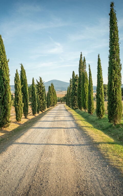 Villa Cassia: all'aperto, Vista Panoramica