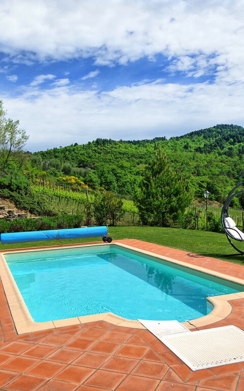 Villa Barbischio: Giardino, Piscina