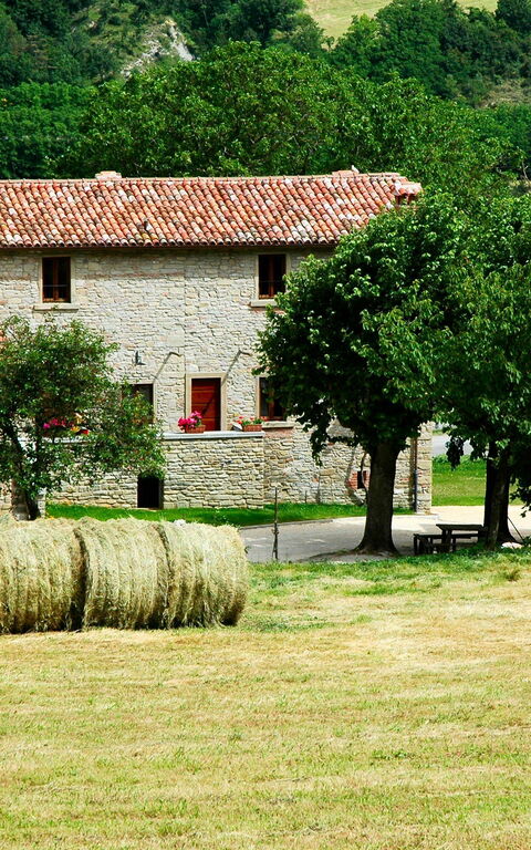Marradi: all'aperto, Vista Panoramica