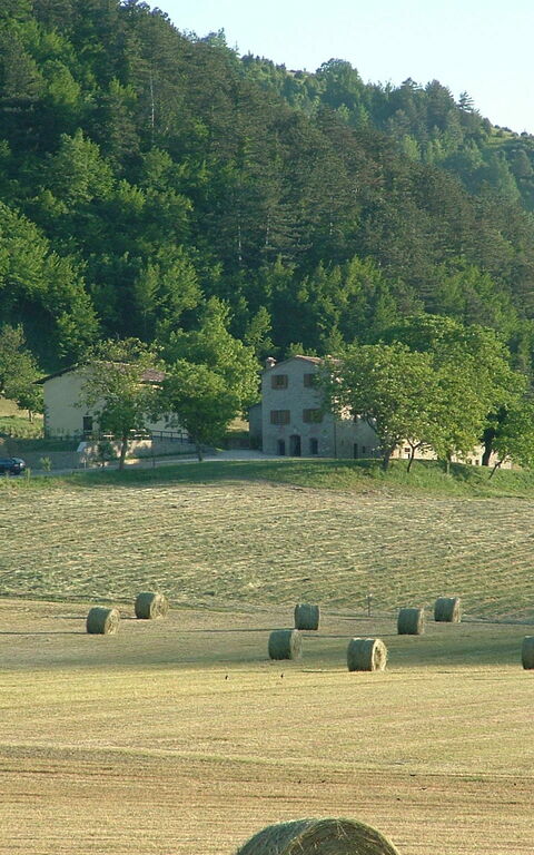 Marradi: Vista Panoramica