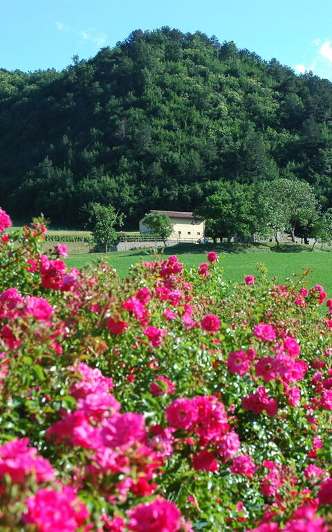 Marradi: Vista Panoramica