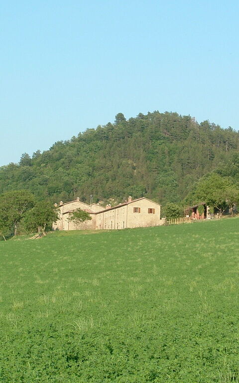 Marradi: Vista Panoramica