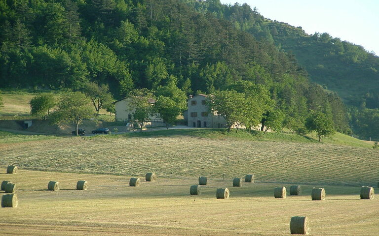 Marradi: Vista Panoramica