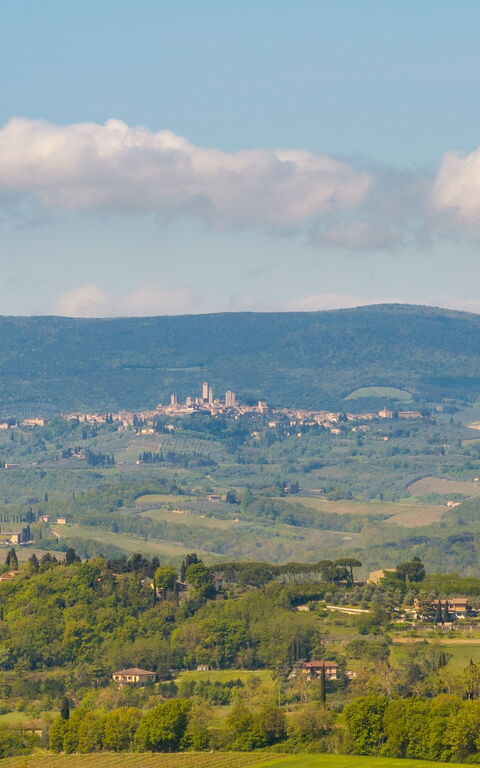 Villa Ferdinando: all'aperto