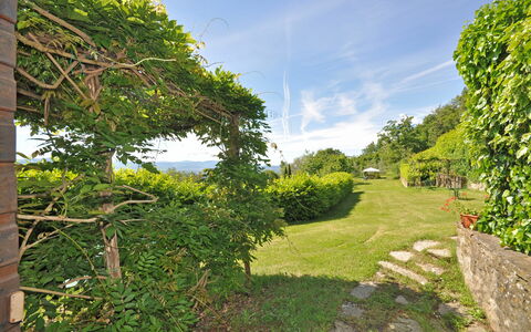 Alloggio Civetta 2: Giardino