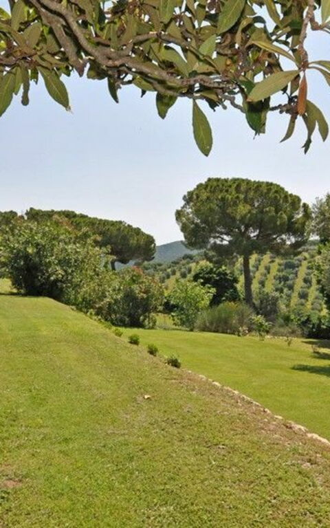 Il Principe: Vista Panoramica