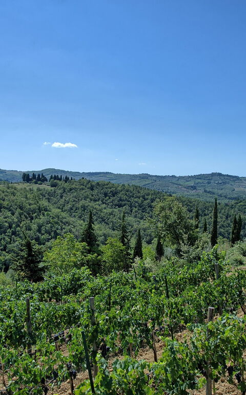 Bigiolo a Melazzano: Vista Panoramica