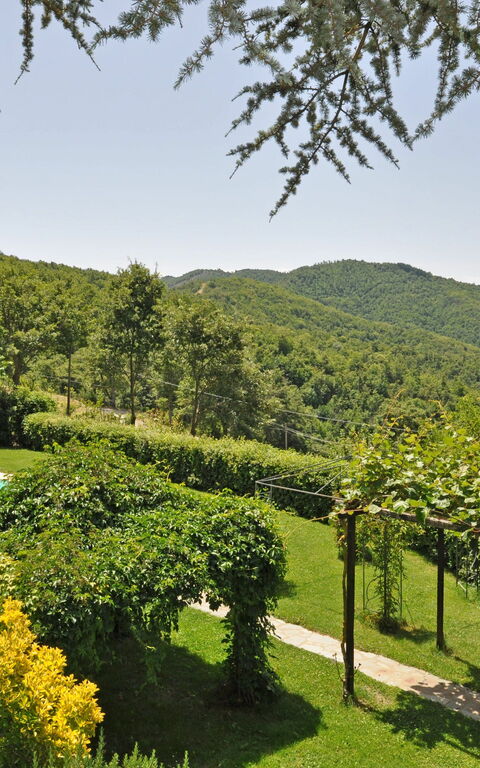 Villa Dame: Giardino, Piscina