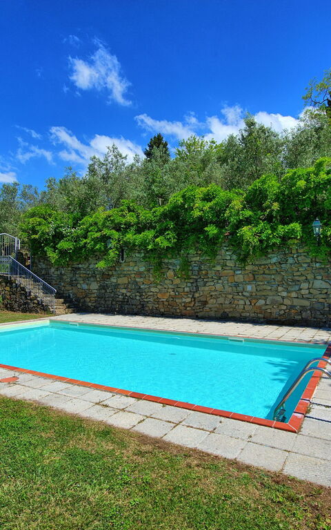 Panzalla: Giardino, Piscina