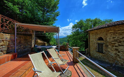 Alloggio Rondini: Esterni, Giardino