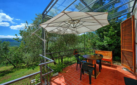 Alloggio Rustico: Esterni, Giardino