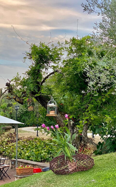 Villa Ulivi: all'aperto, Giardino, Vista Panoramica