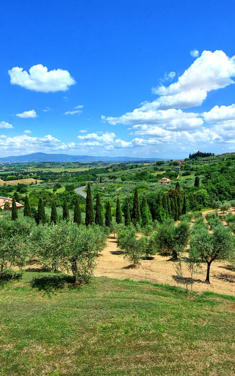 Villa Ulivi: all'aperto, Estate, Vista Panoramica
