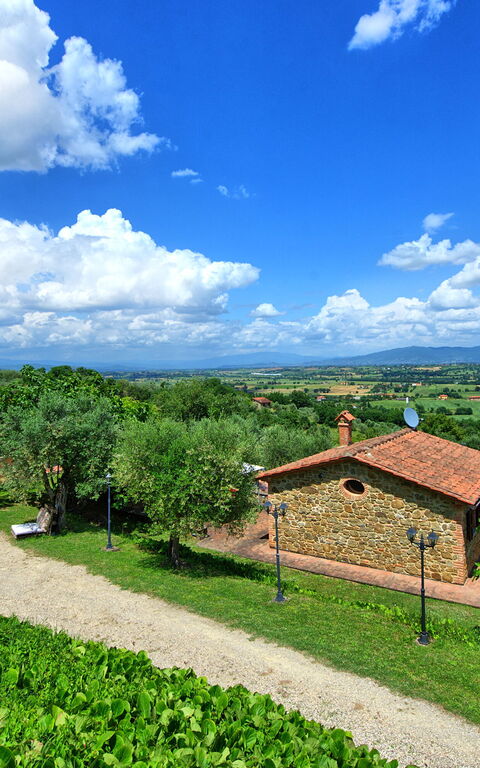 Villa Ulivi: all'aperto, Estate, Esterni, Giardino, Vista Panoramica