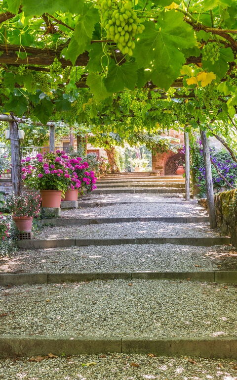 Palazzo Rosadi: Giardino