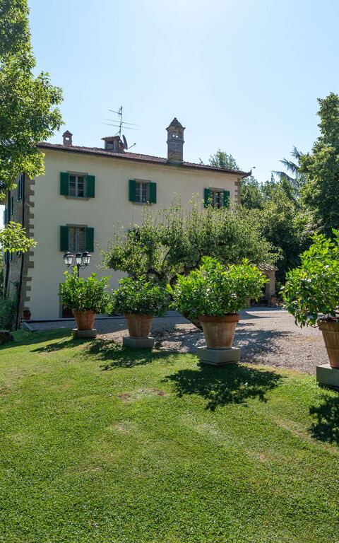 Palazzo Rosadi: all'aperto, Esterni, Giardino