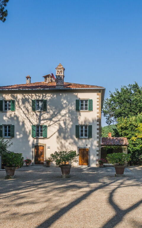 Palazzo Rosadi: all'aperto