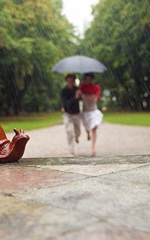 Ca' Marcello: all'aperto, Giardino