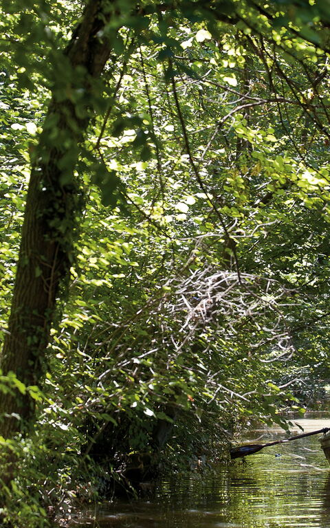 Ca' Marcello: all'aperto