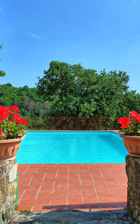 Querciolaia: Piscina