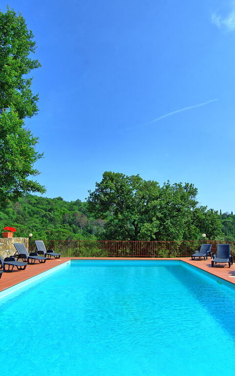 Querciolaia: Piscina