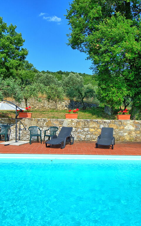 Querciolaia: Piscina