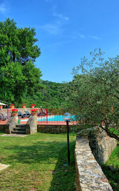 Querciolaia: Giardino, Piscina