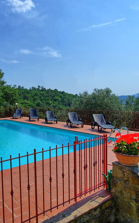 Querciolaia: Piscina