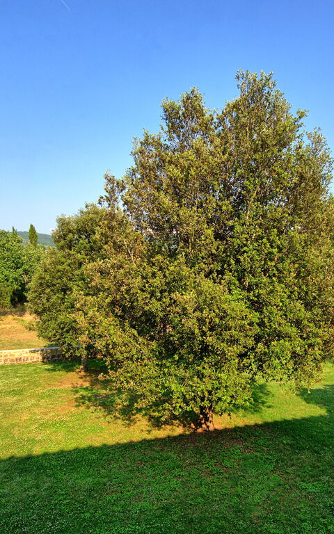 Casavecchia: Vista Panoramica