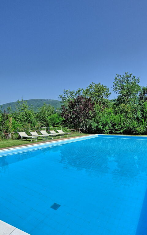 Villa Poggetta: Piscina