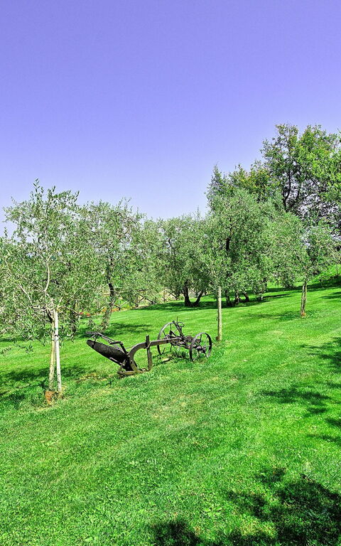 Villa Poggetta: Giardino