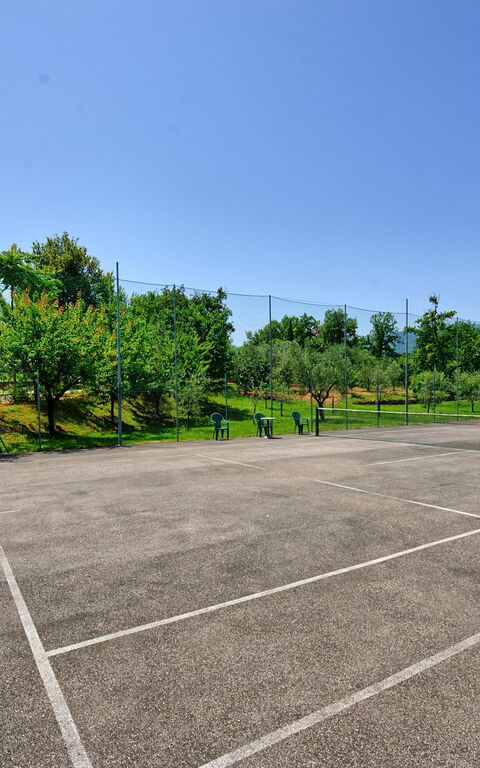 Villa Poggetta: Attività