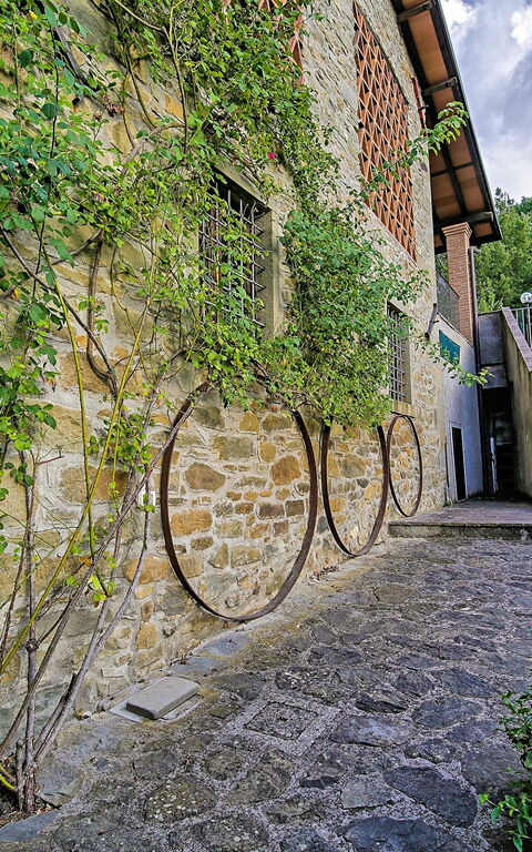 Villa Il Nido: all'aperto, Giardino