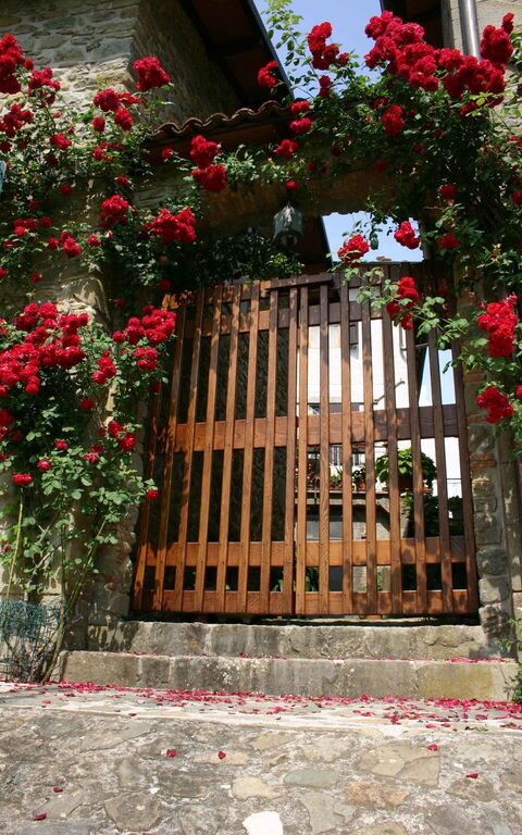 Il Palazzetto: all'aperto